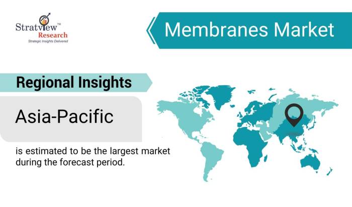 Membranes-Market-Regional-Insights
